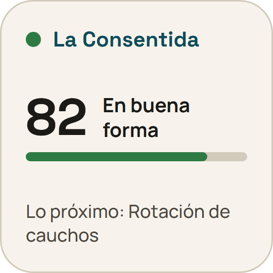Widget Salud del carro: 82, en buena forma.